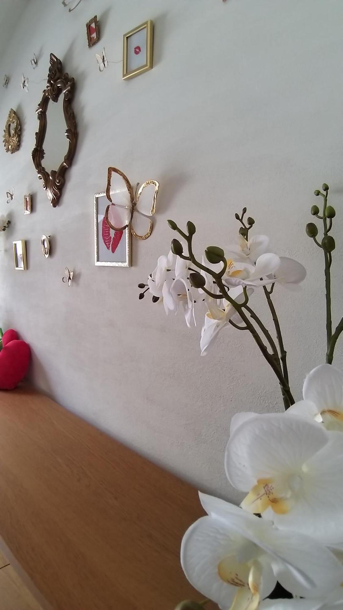 Apartamento Wellness Loft With Sauna, Jacuzzi, Roof Terrace & Amazing View Amberes Exterior foto