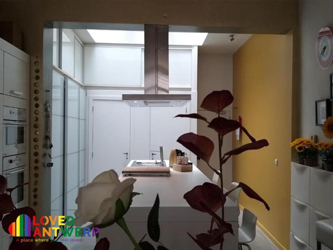 Apartamento Wellness Loft With Sauna, Jacuzzi, Roof Terrace & Amazing View Amberes Exterior foto